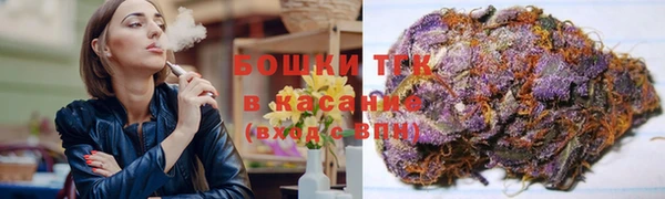 шишки Алексеевка