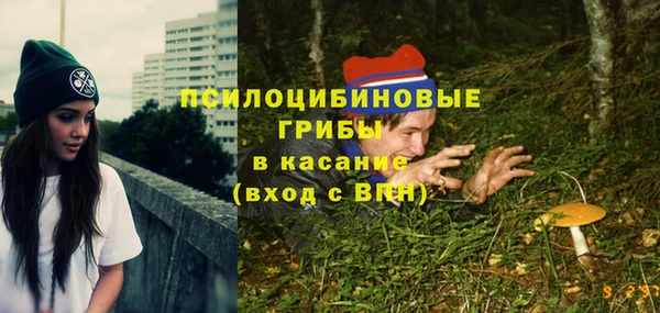 спайс Алексин