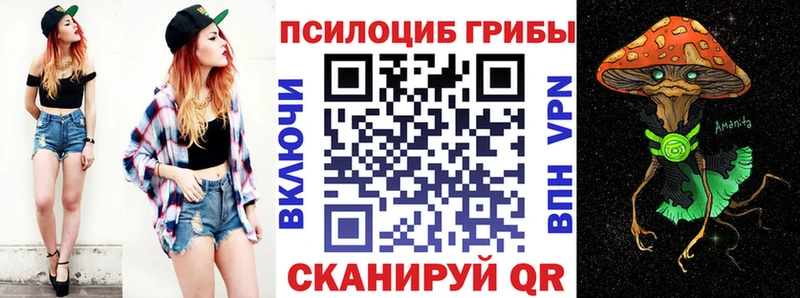 купить   Любань  Псилоцибиновые грибы Cubensis 