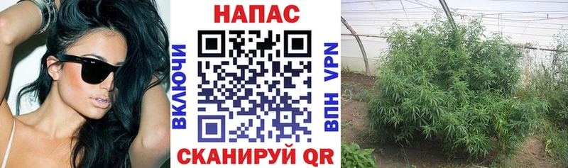 Конопля AK-47  shop официальный сайт  Любань  как найти  
